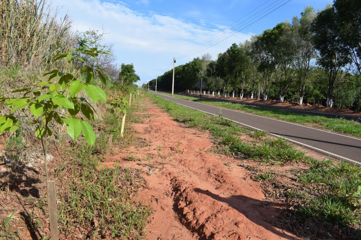  Prefeitura Municipal de Parapuã 