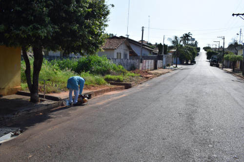  Prefeitura Municipal de Parapuã 