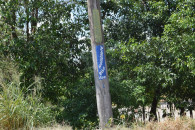  Prefeitura de Parapuã 