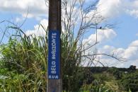 Prefeitura de Parapuã 