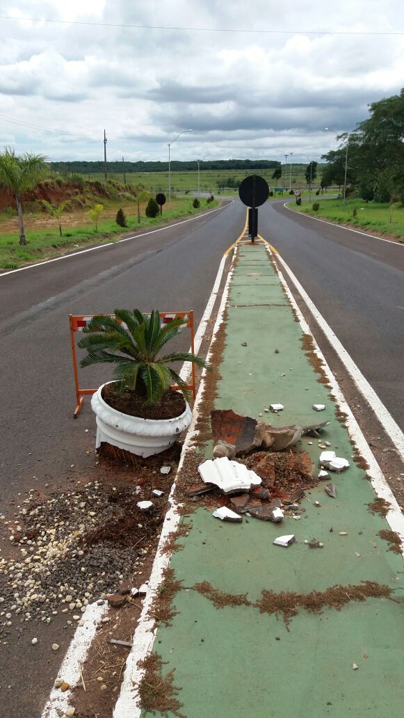 Vândalos destroem vasos de paisagismo no acesso a SP-425