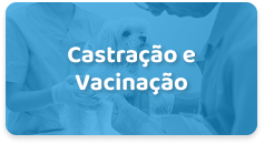 Castração e Vacinação
