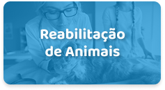 Reabilitação de Animais